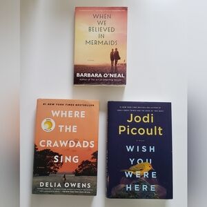 Three Books Wish You Were Here, Where the Crawdads Sing and When We Beli…